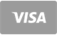 Visa debit card accepted at MrPunter Casino